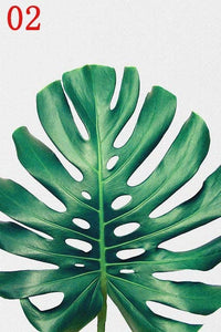 Green Tropical Plants Leaf