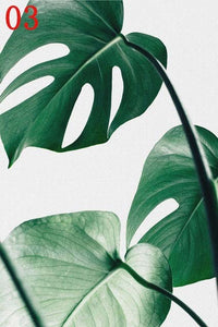 Green Tropical Plants Leaf